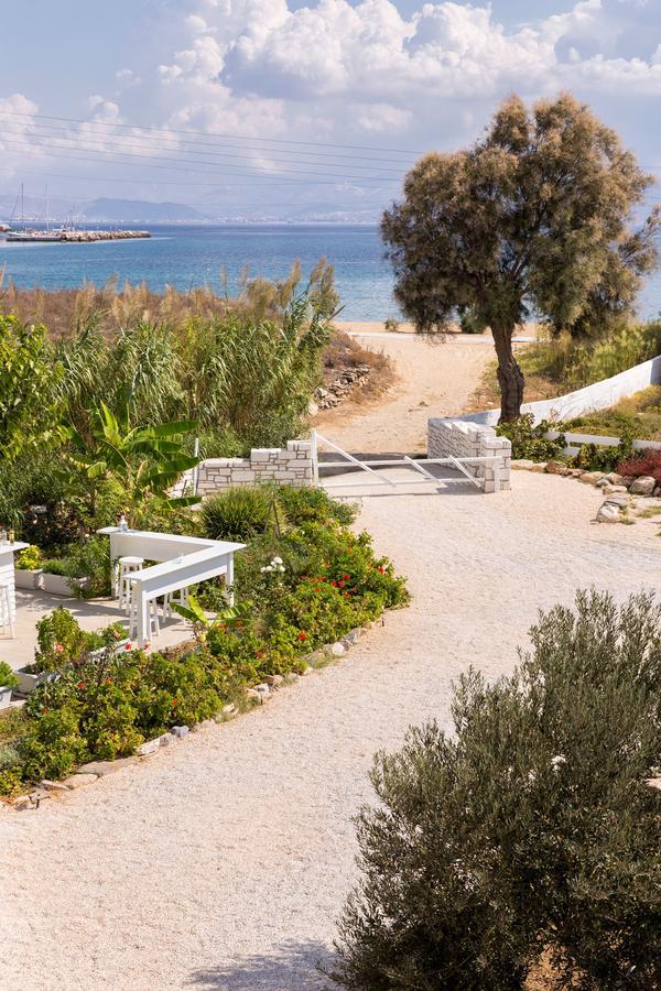 Villa San Dimitrio House On The Beach Логарас Екстериор снимка